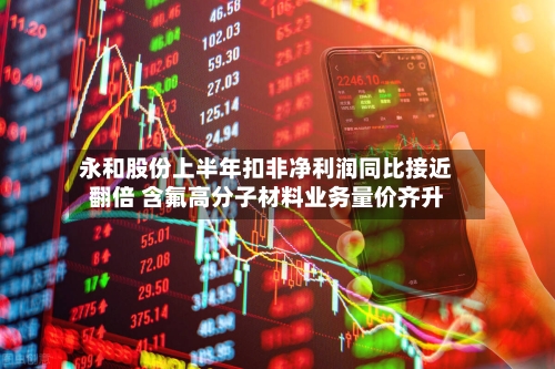 永和股份上半年扣非净利润同比接近翻倍 含氟高分子材料业务量价齐升-第2张图片