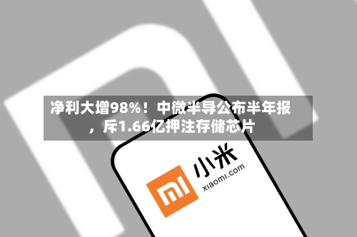 净利大增98%！中微半导公布半年报，斥1.66亿押注存储芯片