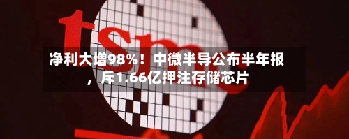 净利大增98%！中微半导公布半年报，斥1.66亿押注存储芯片-第2张图片