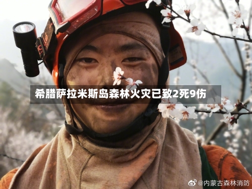 希腊萨拉米斯岛森林火灾已致2死9伤