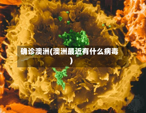 确诊澳洲(澳洲最近有什么病毒)