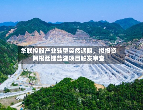 华联控股产业转型突然遇阻，拟投资阿根廷锂盐湖项目触发审查-第2张图片