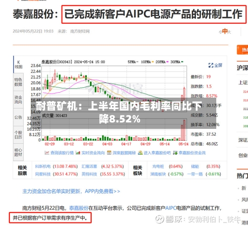 耐普矿机：上半年国内毛利率同比下降8.52%-第2张图片