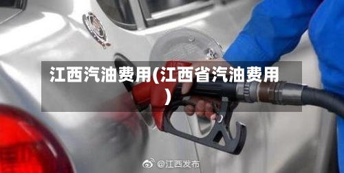 江西汽油费用(江西省汽油费用)
