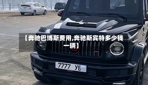 【奔驰巴博斯费用,奔驰斯宾特多少钱一辆】