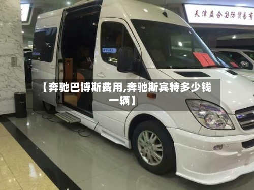 【奔驰巴博斯费用,奔驰斯宾特多少钱一辆】-第2张图片