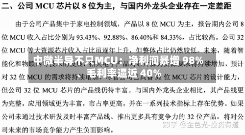 中微半导不只MCU：净利润暴增 98%、毛利率逼近 40%