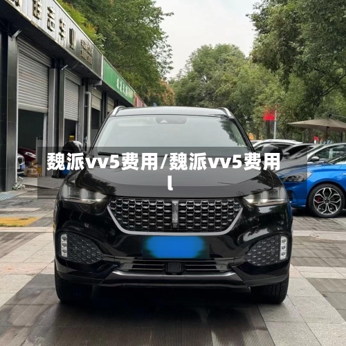 魏派vv5费用/魏派vv5费用l