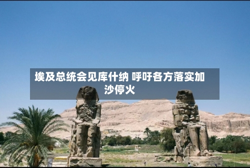 埃及总统会见库什纳 呼吁各方落实加沙停火-第2张图片