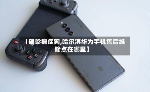 【确诊癌症狗,哈尔滨华为手机售后维修点在哪里】-第3张图片