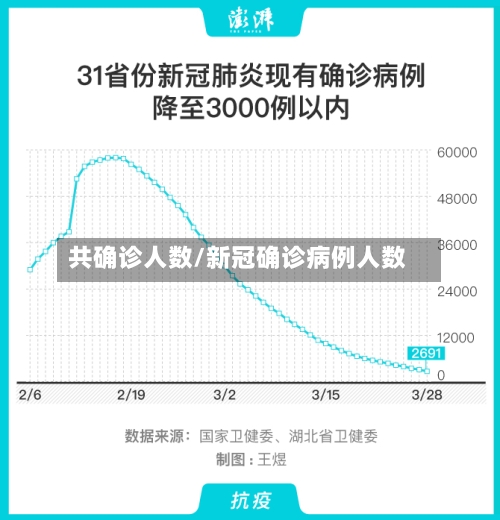 共确诊人数/新冠确诊病例人数-第2张图片
