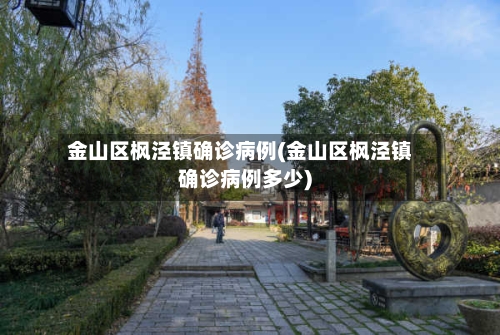 金山区枫泾镇确诊病例(金山区枫泾镇确诊病例多少)
