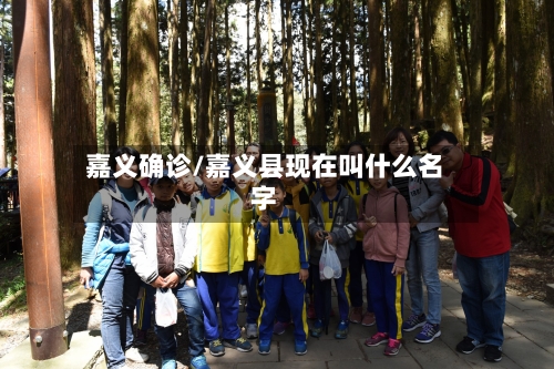 嘉义确诊/嘉义县现在叫什么名字-第2张图片