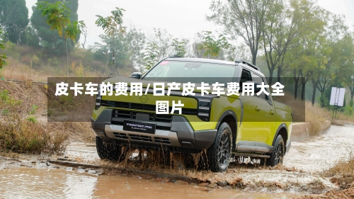 皮卡车的费用/日产皮卡车费用大全图片-第3张图片