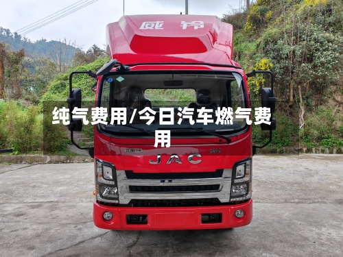 纯气费用/今日汽车燃气费用-第2张图片