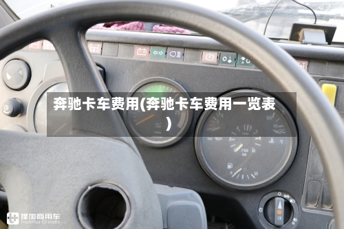 奔驰卡车费用(奔驰卡车费用一览表)-第2张图片