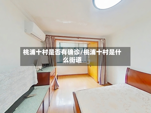 桃浦十村是否有确诊/桃浦十村是什么街道