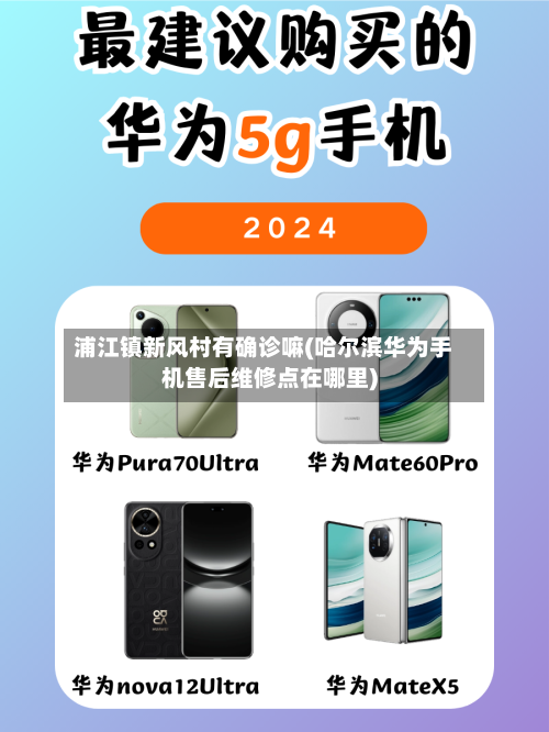 浦江镇新风村有确诊嘛(哈尔滨华为手机售后维修点在哪里)-第3张图片
