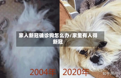 家人新冠确诊狗怎么办/家里有人得新冠