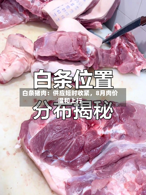 白条猪肉：供应短时收紧，8月肉价温和上行-第1张图片