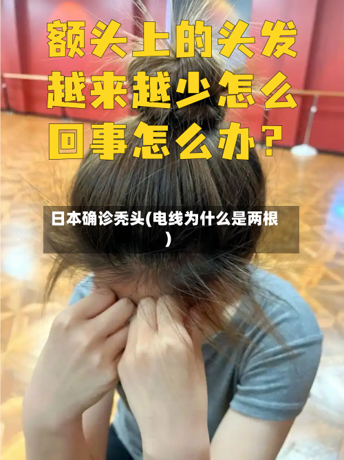 日本确诊秃头(电线为什么是两根)-第2张图片