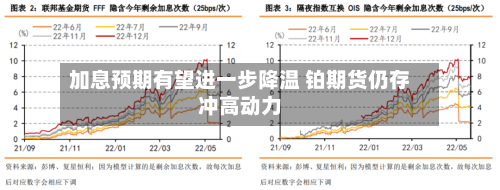 加息预期有望进一步降温 铂期货仍存冲高动力-第2张图片