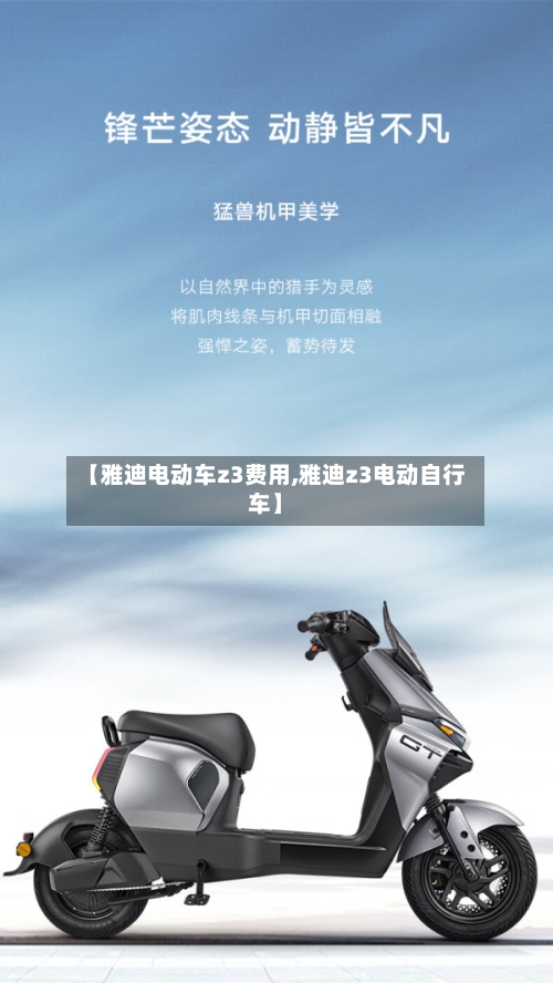 【雅迪电动车z3费用,雅迪z3电动自行车】-第3张图片