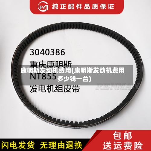 康明斯发动机费用(康明斯发动机费用多少钱一台)-第3张图片