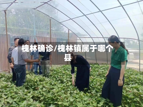槐林确诊/槐林镇属于哪个县-第3张图片