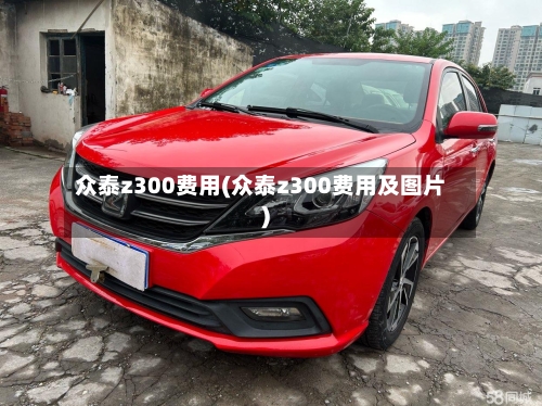 众泰z300费用(众泰z300费用及图片)-第2张图片