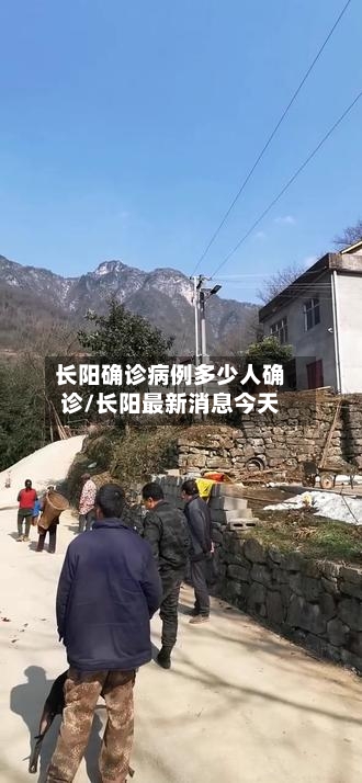 长阳确诊病例多少人确诊/长阳最新消息今天-第3张图片