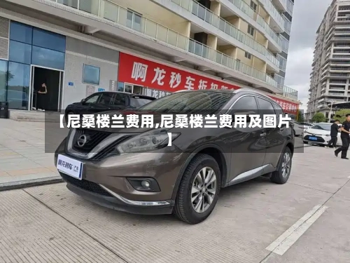 【尼桑楼兰费用,尼桑楼兰费用及图片】-第2张图片
