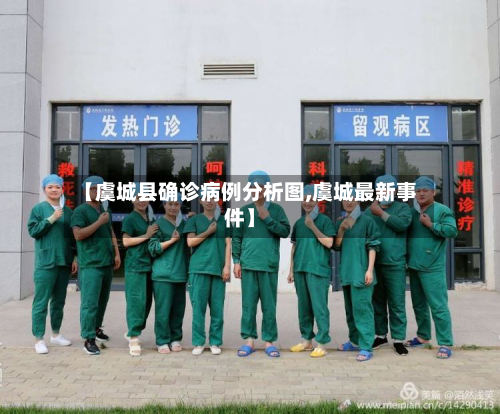 【虞城县确诊病例分析图,虞城最新事件】
