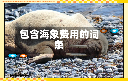 包含海象费用的词条