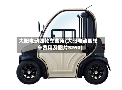 大阳电动四轮车费用(大阳电动四轮车费用及图片S260)-第3张图片
