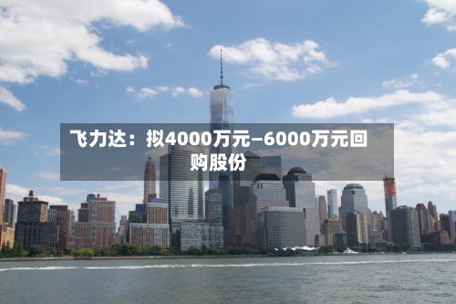 飞力达：拟4000万元—6000万元回购股份-第2张图片