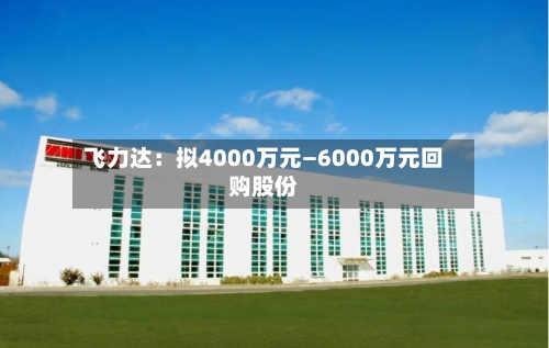 飞力达:拟4000万元—6000万元回购股份