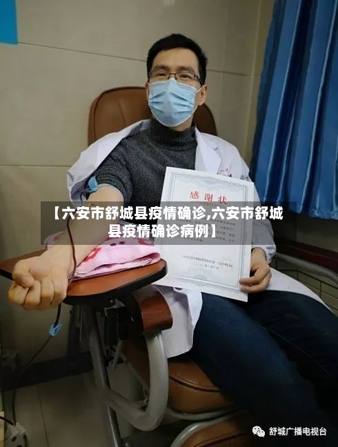 【六安市舒城县疫情确诊,六安市舒城县疫情确诊病例】-第3张图片