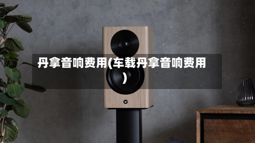 丹拿音响费用(车载丹拿音响费用)-第2张图片