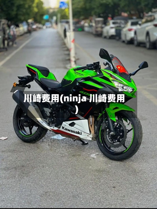 川崎费用(ninja 川崎费用)-第2张图片