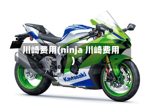 川崎费用(ninja 川崎费用)