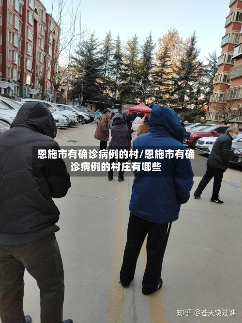 恩施市有确诊病例的村/恩施市有确诊病例的村庄有哪些