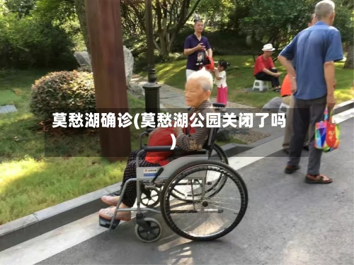 莫愁湖确诊(莫愁湖公园关闭了吗)-第3张图片