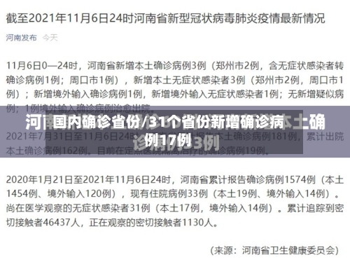 国内确诊省份/31个省份新增确诊病例17例