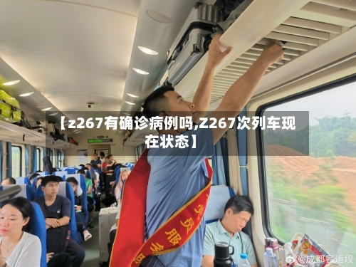 【z267有确诊病例吗,Z267次列车现在状态】-第3张图片
