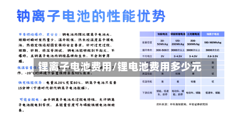 锂离子电池费用/锂电池费用多少元-第2张图片