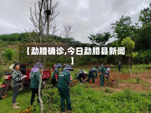【勐腊确诊,今日勐腊县新闻】-第2张图片