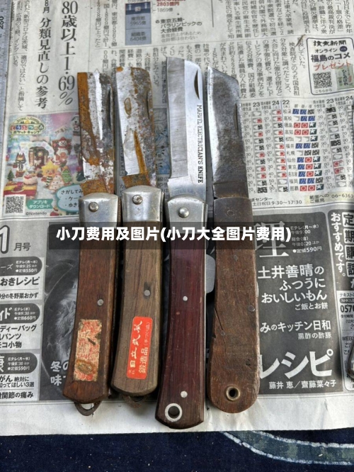 小刀费用及图片(小刀大全图片费用)