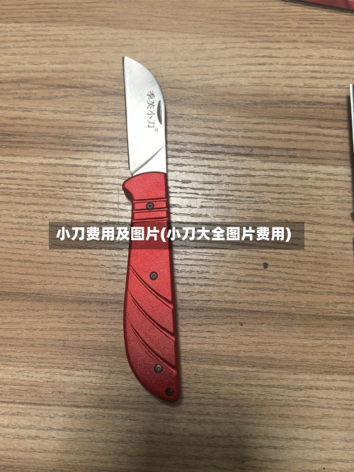小刀费用及图片(小刀大全图片费用)-第2张图片