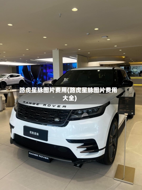 路虎星脉图片费用(路虎星脉图片费用大全)